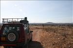 05 IMG_7222